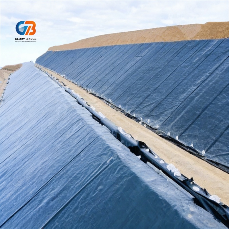 ASTM Standard Industrial Impermeable Pond Liner Anti-UV Black Double Smooth HDPE Geomembrane Sheet for Fish Farm Shrimp Farm Dam
