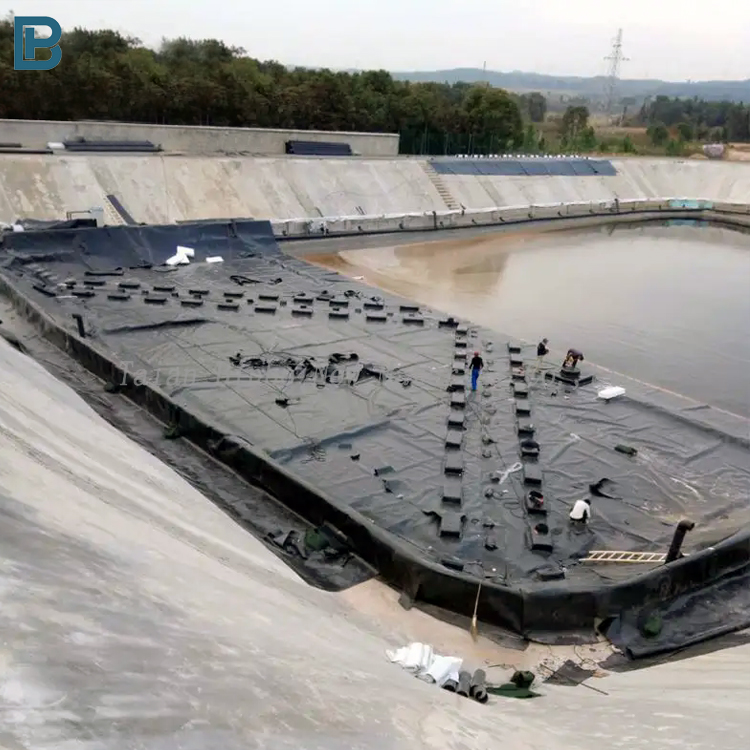 High Quality HDPE Geomembrane Liner 0.5mm-2mm ASTM Standard Anti-UV Modern Dam Liner 1mm Made PVC LDPE EVA LLDPE PP for Ponds
