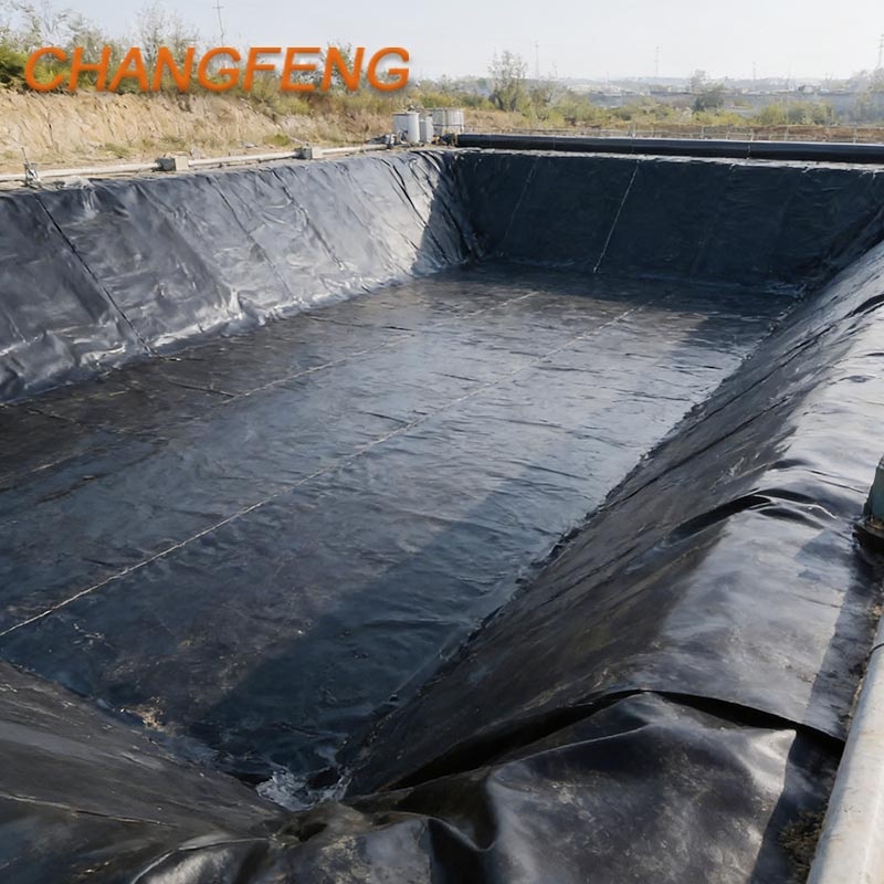 Waterproof HDPE Geomembrane Liner 1mm Modern Anti-UV for Fish Farm Artificial Pond Landscape Construction