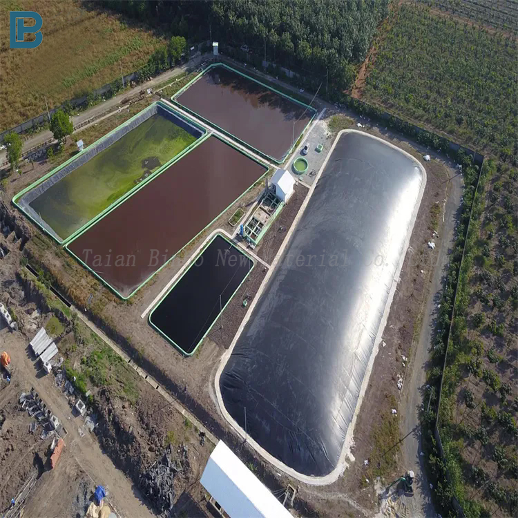 Biogas Digester Lining Projects