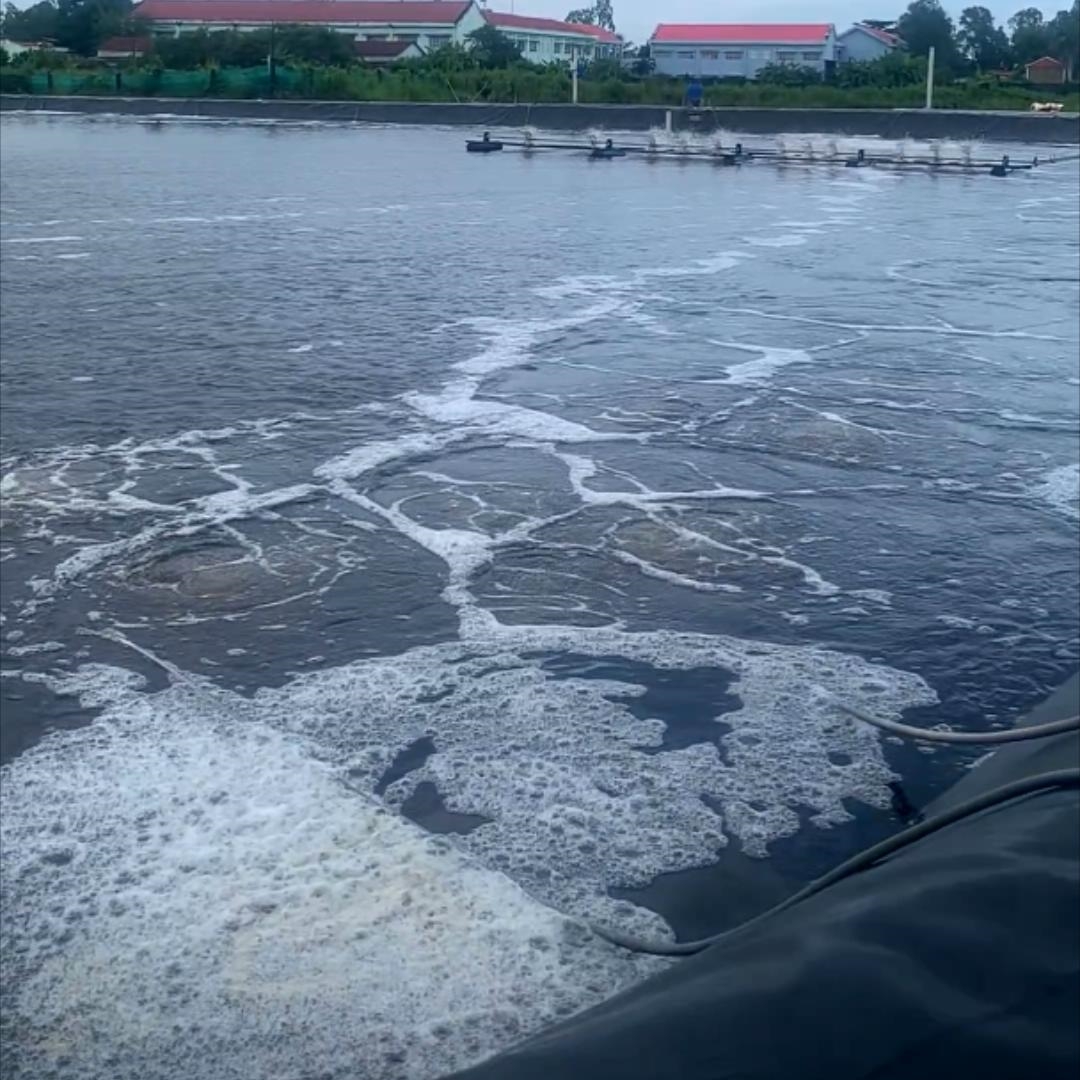 0.5-3mm UV Resistant HDPE LLDPE Waterproof Geomembrane Pond Liner for Salt Farms, Landfills &amp; Artificial Lake