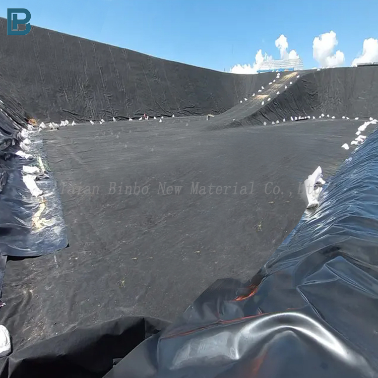HDPE Geomembrane Liner 1mm 2mm 3mm Waterproof Eco-Friendly Fish Farm Shrimp Pond Landfill Artificial Lake Liner LDPE PP Material