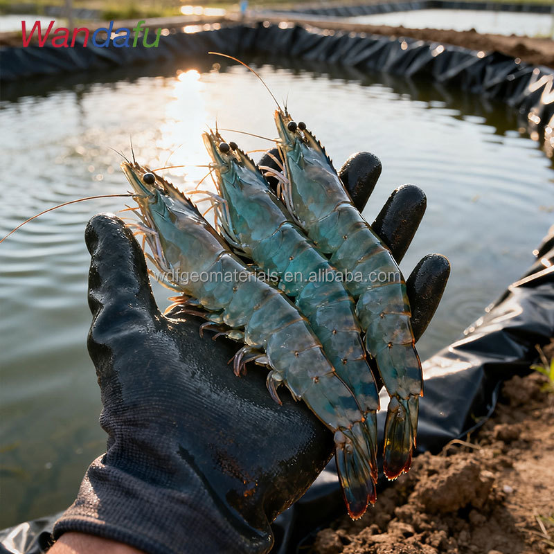 Agricultural Smooth HDPE Geomembrane Liner for Fish Farm Shrimp Pond Landfill-Anti-UV &amp; Durable