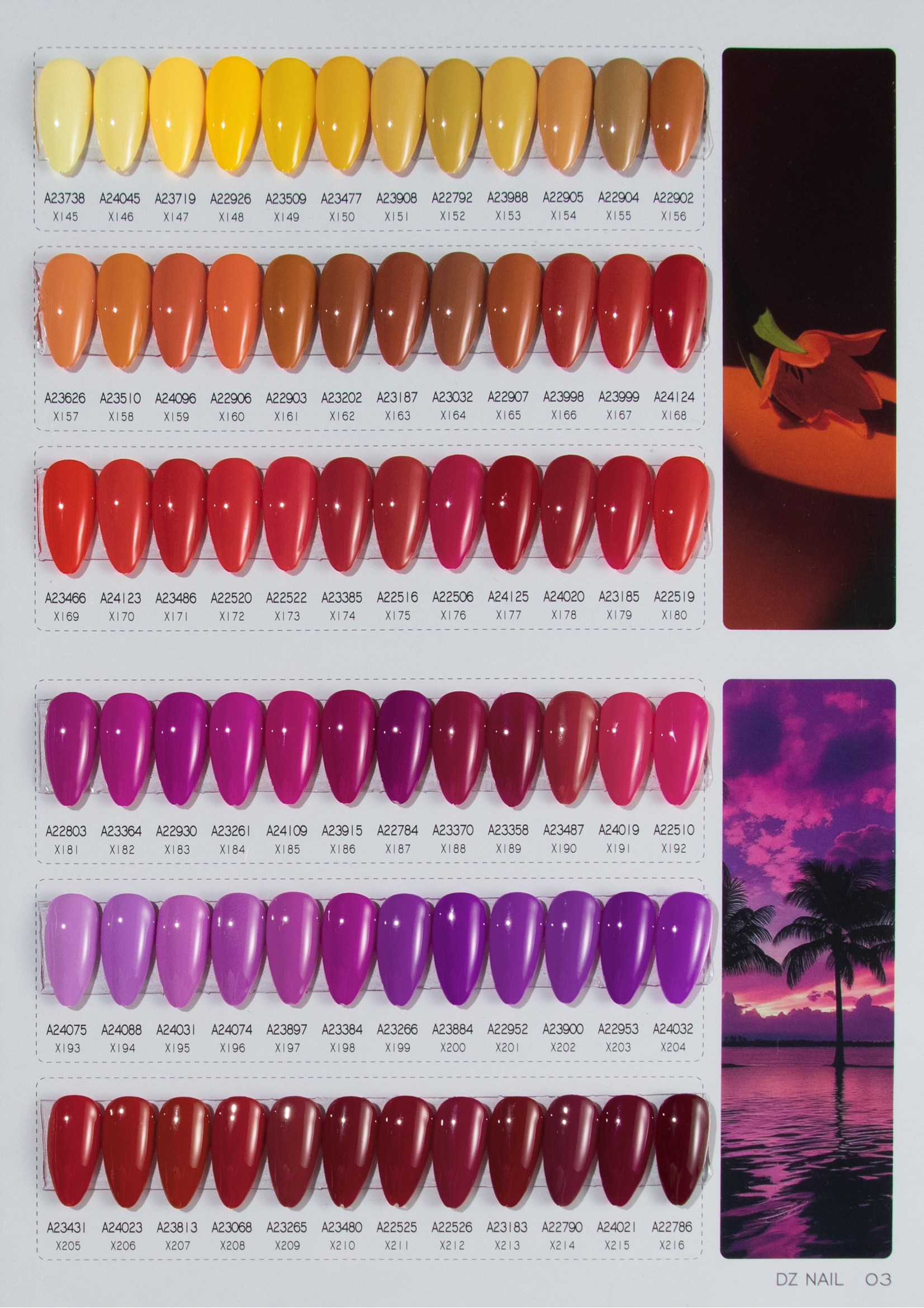 Color Swatch
