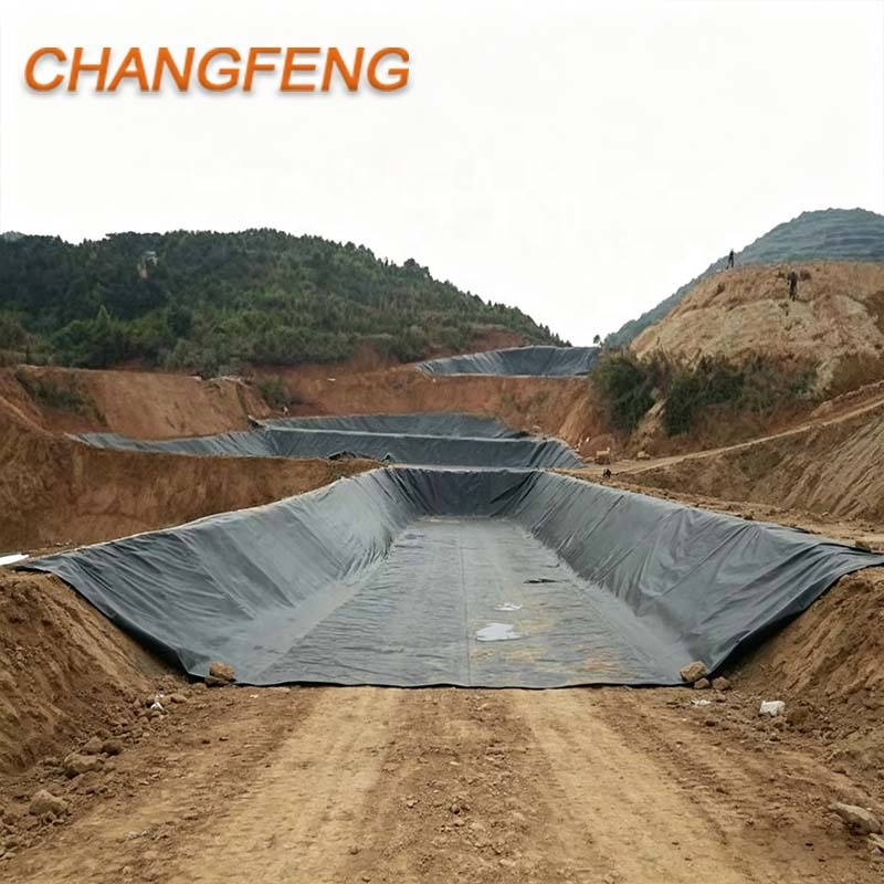 Waterproof HDPE Geomembrane Liner 1mm Modern Anti-UV for Fish Farm Artificial Pond Landscape Construction