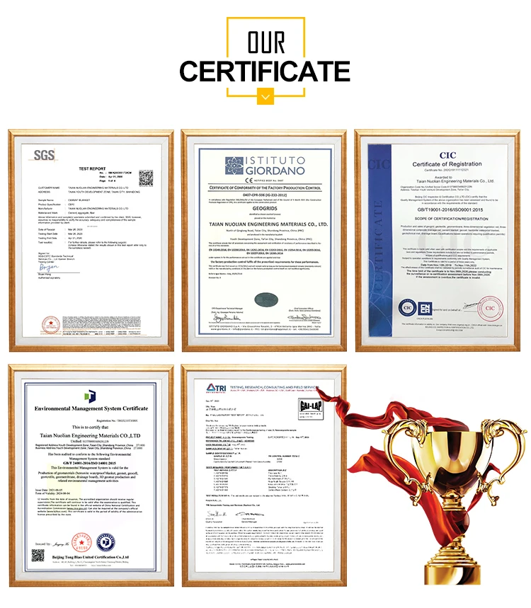 Company Visual 1