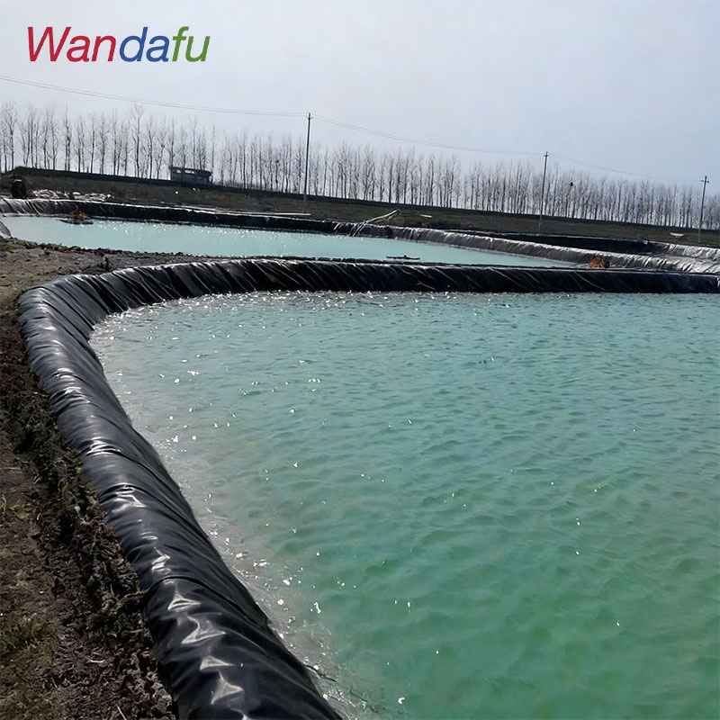 0.25mm EVA Hdpe Geomembrane Liner Fish Tank Shrimp Pond Farm Liner Pond Liner for Golf Lagoon Pools Wastewater Treatment