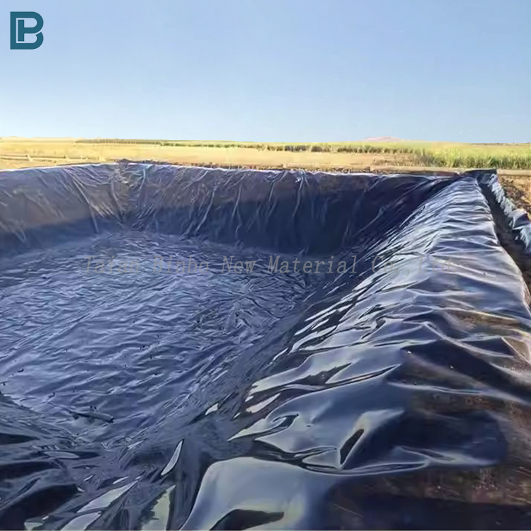 High Quality HDPE Geomembrane Liner 0.5mm-2mm ASTM Standard Anti-UV Modern Dam Liner 1mm Made PVC LDPE EVA LLDPE PP for Ponds