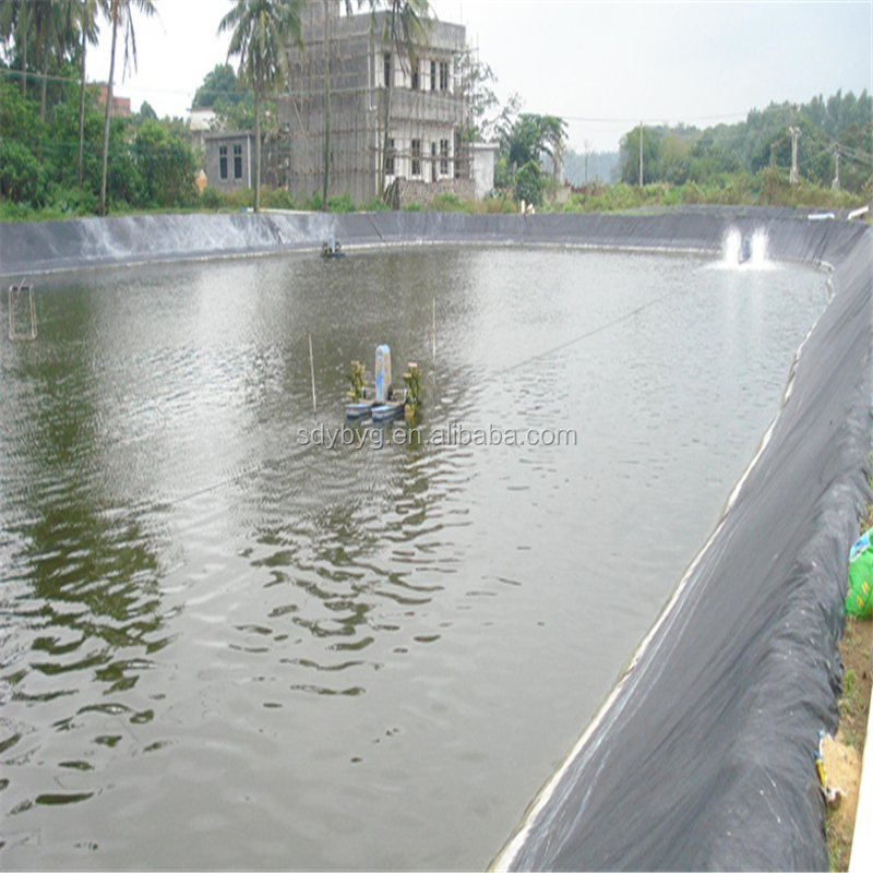 Aquaculture Setup Detail