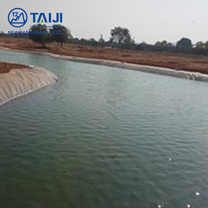 High Quality HDPE Rectangular Composite Geomembrane Industrial Style Pond Liner Low Manufacturer Price Waterproof for Park
