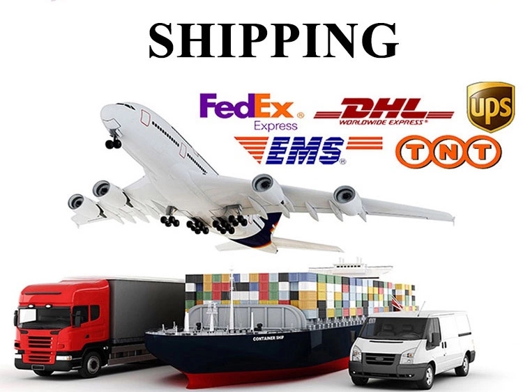 Shipping Logistics