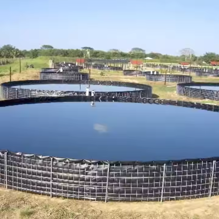 HDPE Geomembrane Liners for Spirulina Aqua Culture Ponds 0.5mm 1mm 2mm Geomembrane for Salt Field Dam Liner