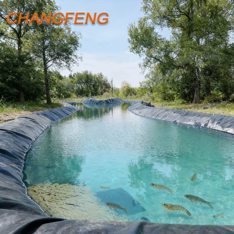 Waterproof HDPE Geomembrane Liner 1mm Modern Anti-UV for Fish Farm Artificial Pond Landscape Construction