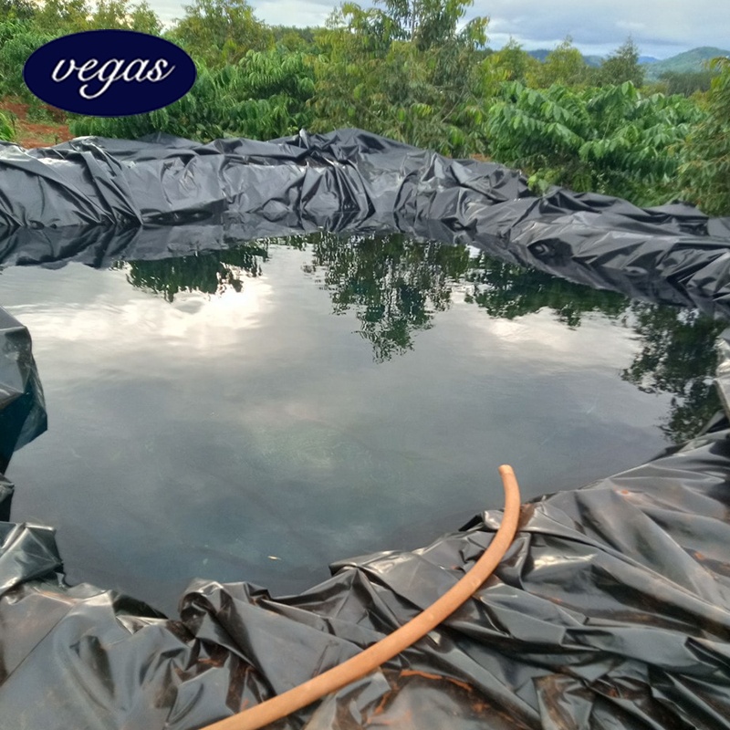Pond Lining Project