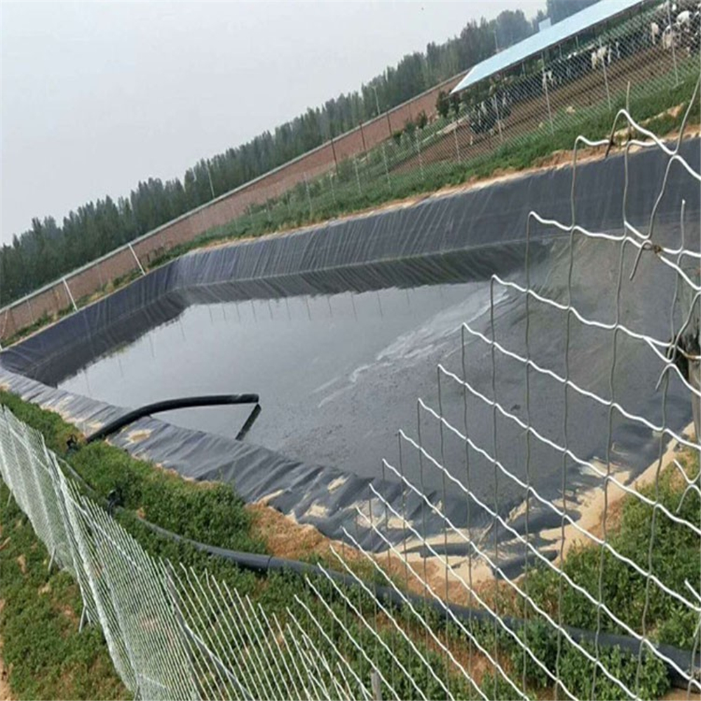 China Earth Work Geomembrane Waterproof Geomembrane Agriculture Fish Pond Shrimp Liner
