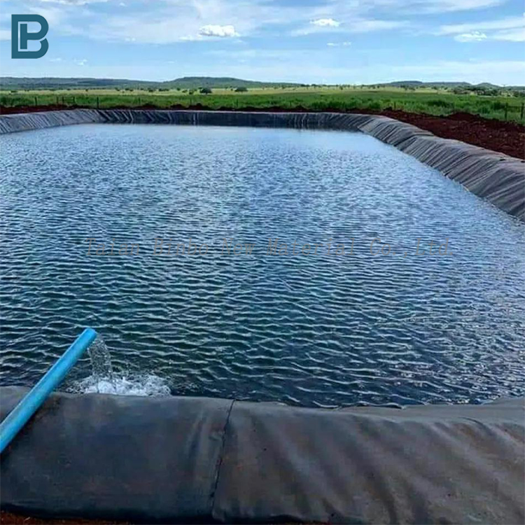 High Quality HDPE Geomembrane Liner 0.5mm-2mm ASTM Standard Anti-UV Modern Dam Liner 1mm Made PVC LDPE EVA LLDPE PP for Ponds