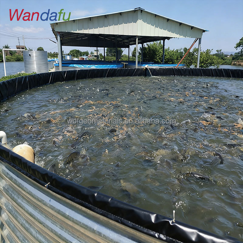 0.25mm EVA Hdpe Geomembrane Liner Fish Tank Shrimp Pond Farm Liner Pond Liner for Golf Lagoon Pools Wastewater Treatment
