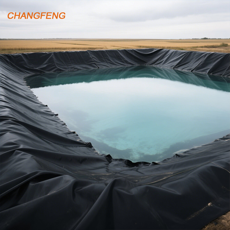 Waterproofing HDPE Geomembrane UV Resistant Smooth Polyethylene Impermeable Dam Agriculture Pond Liner Landfill Site Biogas Lake