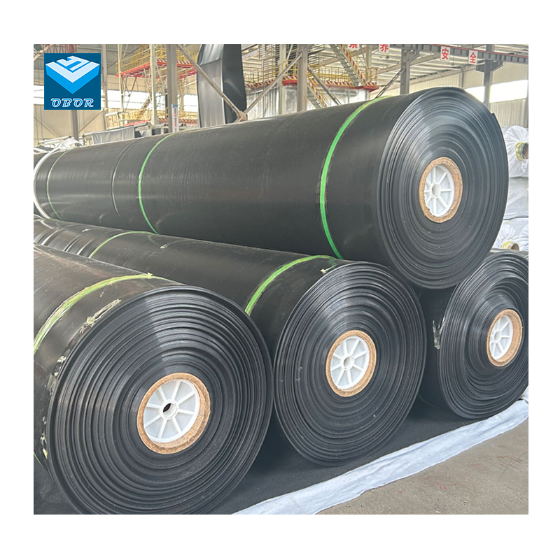 Geomembrane Display 3