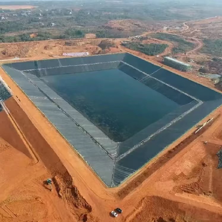 0.35mm HDPE Waterproofing Geomembranes Price for Fish Shrimp Farms Anti-UV 3D Industrial Design PVC LDPE EVA Lake Liner