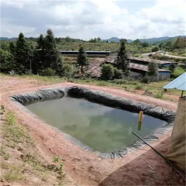 Pond Liner Setup