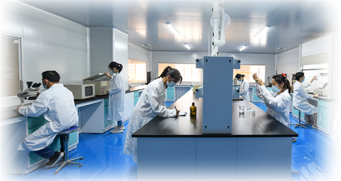R&D Team 1