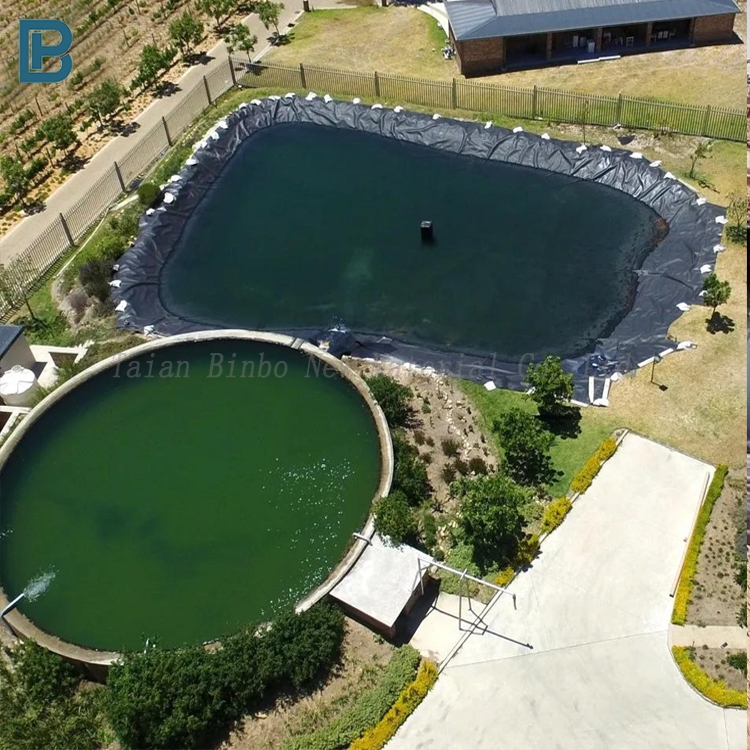 High Quality HDPE Geomembrane Liner 0.5mm-2mm ASTM Standard Anti-UV Modern Dam Liner 1mm Made PVC LDPE EVA LLDPE PP for Ponds