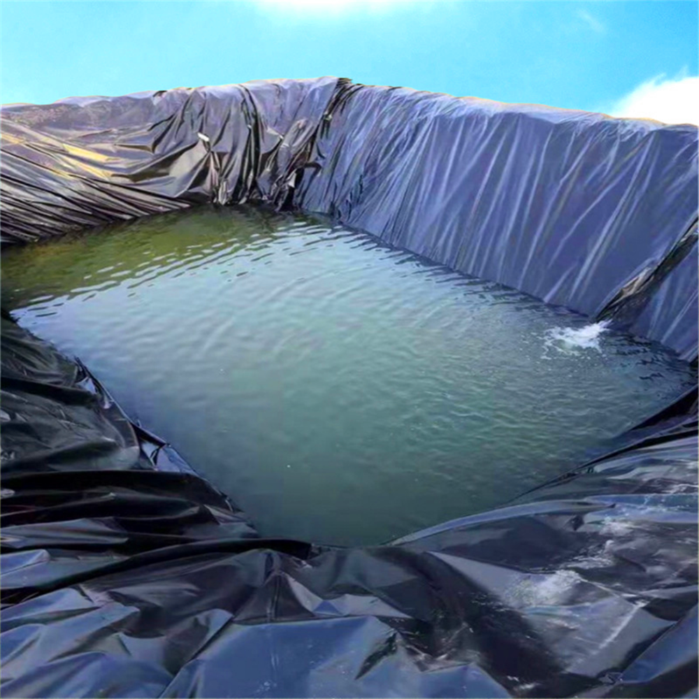 China Earth Work Geomembrane Waterproof Geomembrane Agriculture Fish Pond Shrimp Liner