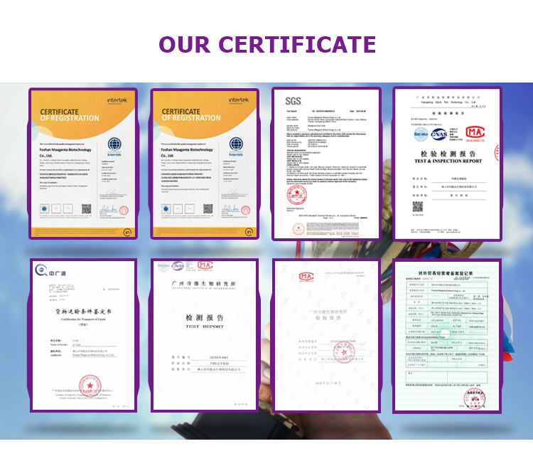 Company Image 2