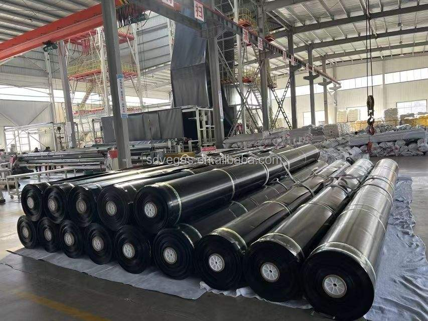 Geomembrane Display 1