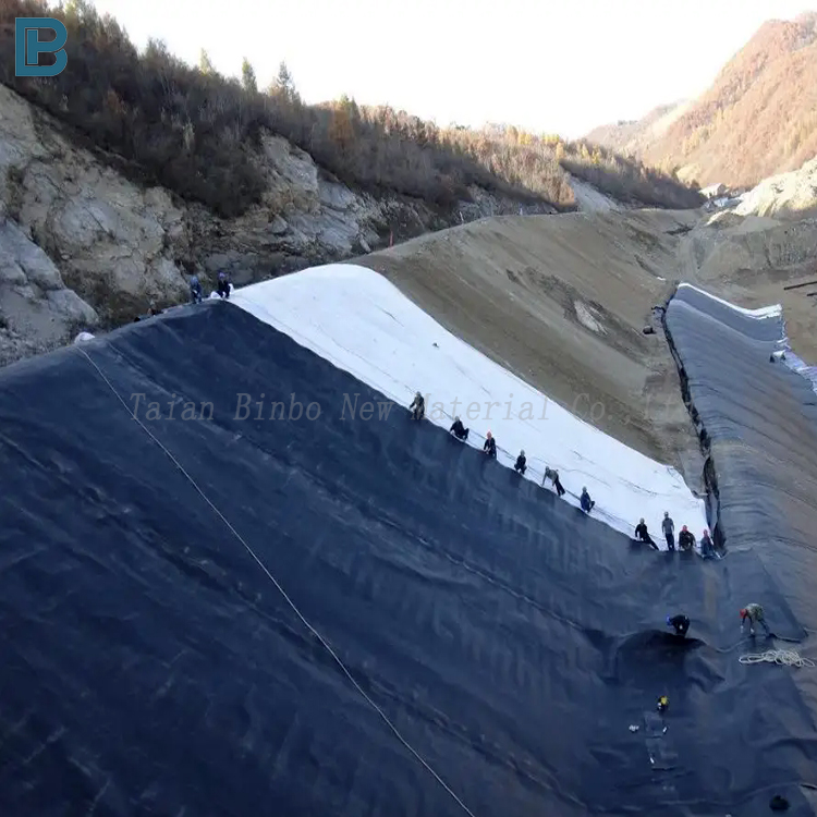 HDPE Geomembrane Liner 1mm 2mm 3mm Waterproof Eco-Friendly Fish Farm Shrimp Pond Landfill Artificial Lake Liner LDPE PP Material