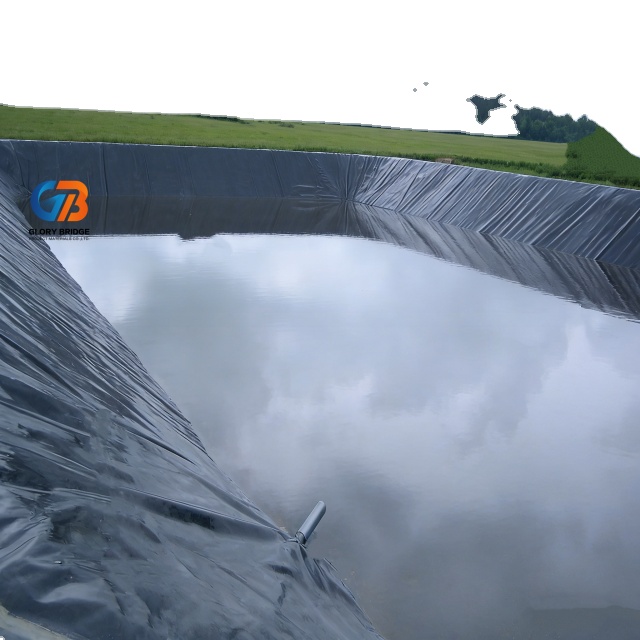 Industrial 2mm Thick Eco-Friendly Anti-UV HDPE Geomembrane Reservoir Liner for Shrimp Farm Fish Farm Pond Dam &amp; Landfill