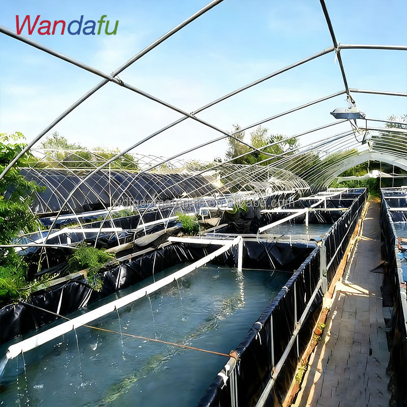 0.25mm EVA Hdpe Geomembrane Liner Fish Tank Shrimp Pond Farm Liner Pond Liner for Golf Lagoon Pools Wastewater Treatment