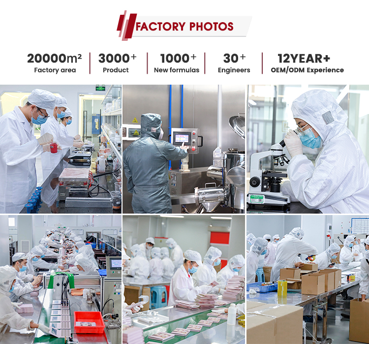 Manufacturing Factory Facility