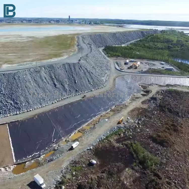 HDPE Geomembrane Liner 1mm 2mm 3mm Waterproof Eco-Friendly Fish Farm Shrimp Pond Landfill Artificial Lake Liner LDPE PP Material