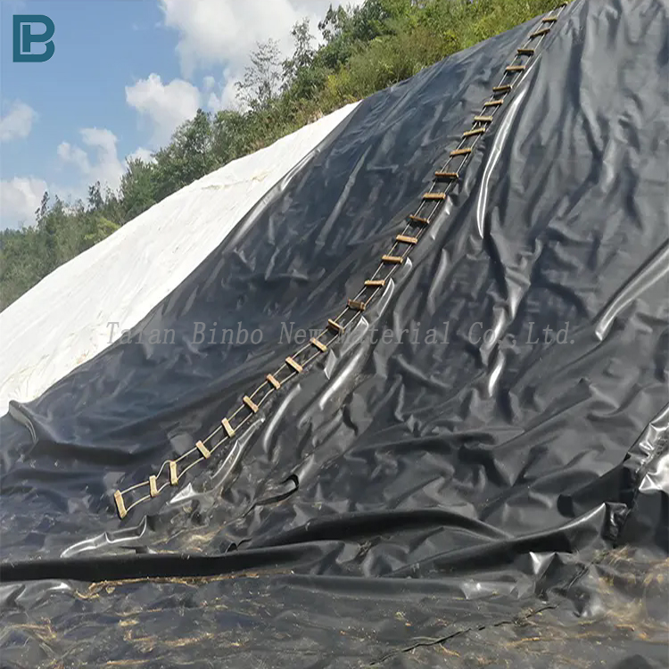 HDPE Geomembrane Liner 1mm 2mm 3mm Waterproof Eco-Friendly Fish Farm Shrimp Pond Landfill Artificial Lake Liner LDPE PP Material