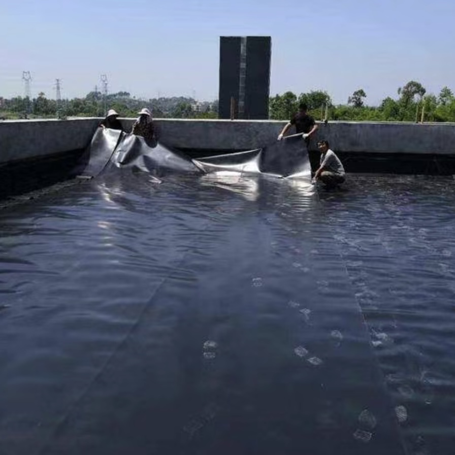 0.35mm HDPE Waterproofing Geomembranes Price for Fish Shrimp Farms Anti-UV 3D Industrial Design PVC LDPE EVA Lake Liner