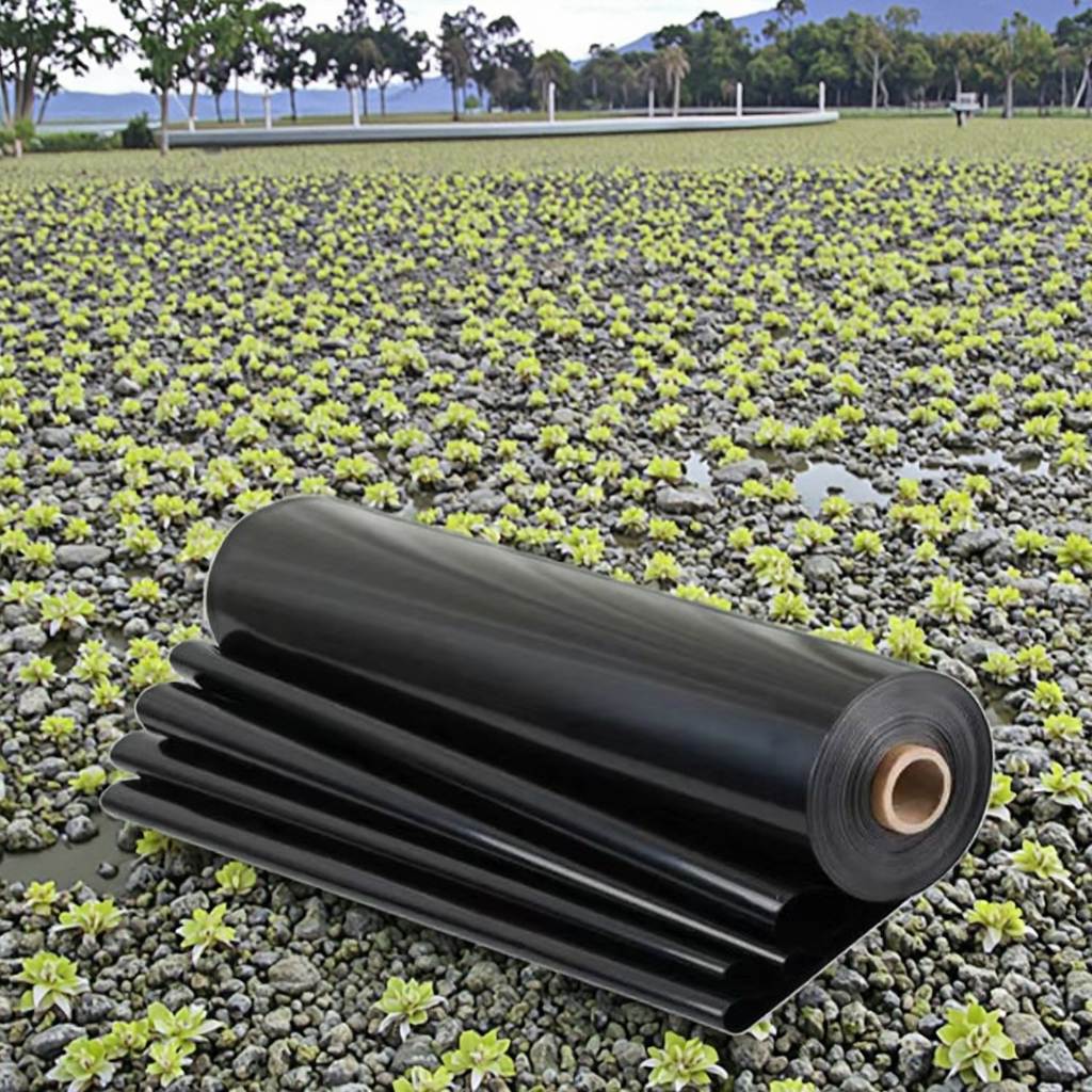 Black Green 1.5mm HDPE Geomembrane Eco-Friendly Durable Anti-UV Waterproof Fish Farm Dam Pond Landfill Liner Roll