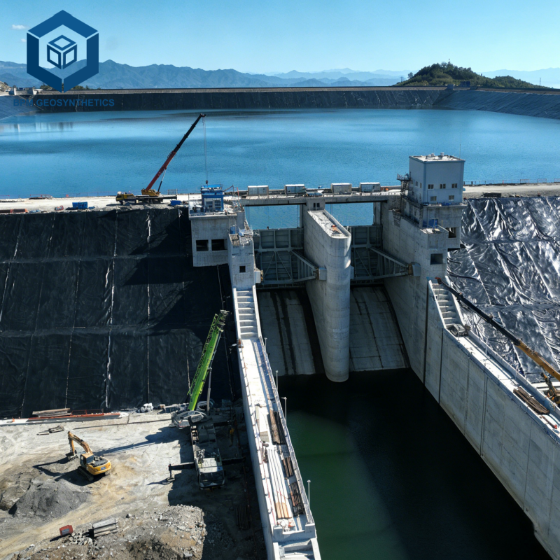 Agricultural Pond Liner HDPE Geomembrane Liner for Artificial Lake &amp; Fish Farm 1mm Thick Waterproof for Brand