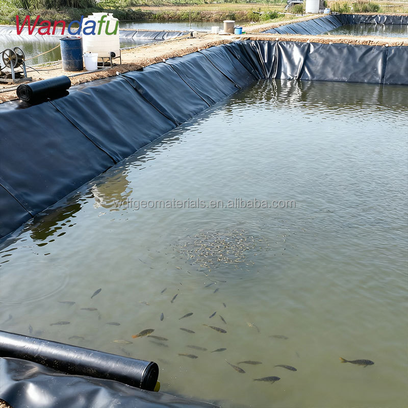 Agricultural Smooth HDPE Geomembrane Liner for Fish Farm Shrimp Pond Landfill-Anti-UV &amp; Durable