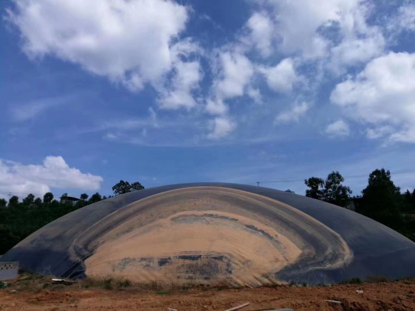 Biogas digester