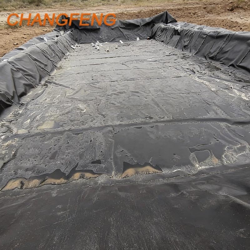 Waterproof HDPE Geomembrane Liner 1mm Modern Anti-UV for Fish Farm Artificial Pond Landscape Construction