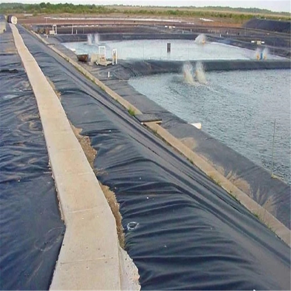 China Earth Work Geomembrane Waterproof Geomembrane Agriculture Fish Pond Shrimp Liner
