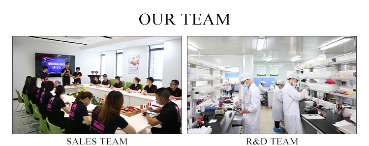 Dedicated Professional Team