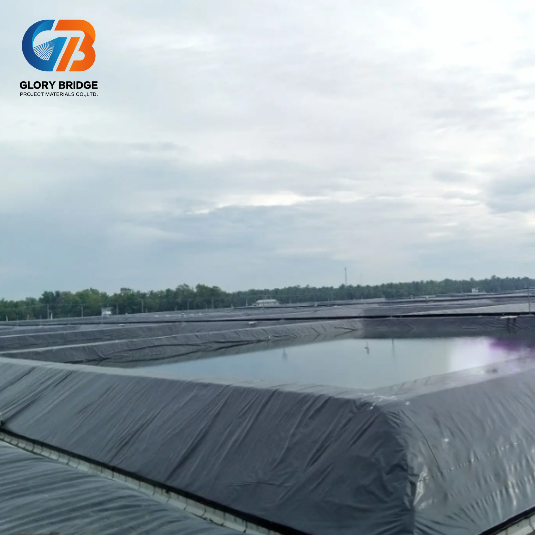 Industrial 2mm Thick Eco-Friendly Anti-UV HDPE Geomembrane Reservoir Liner for Shrimp Farm Fish Farm Pond Dam &amp; Landfill