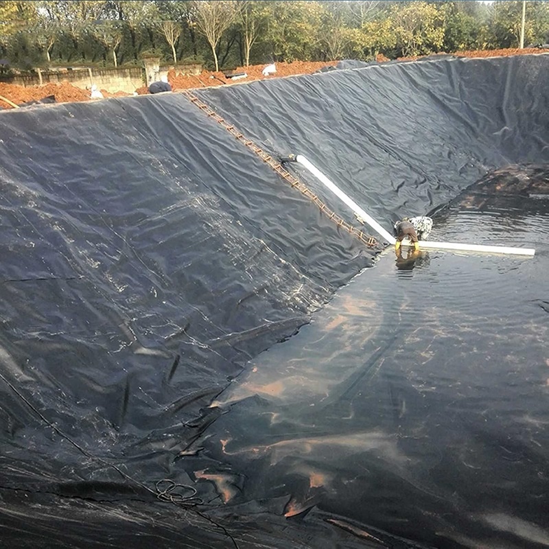 High Quality Waterproof Plastic Pond Liner 1.0mm HDPE Factory Geomembrane Liner