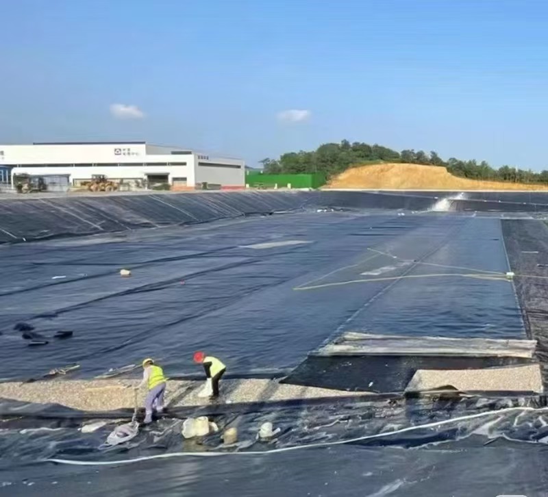 0.35mm HDPE Waterproofing Geomembranes Price for Fish Shrimp Farms Anti-UV 3D Industrial Design PVC LDPE EVA Lake Liner