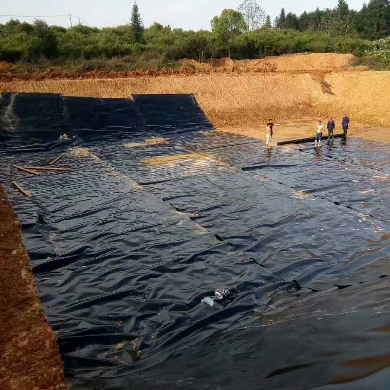 Oxidation pond