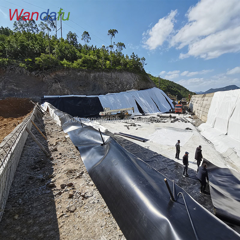 0.25mm EVA Hdpe Geomembrane Liner Fish Tank Shrimp Pond Farm Liner Pond Liner for Golf Lagoon Pools Wastewater Treatment
