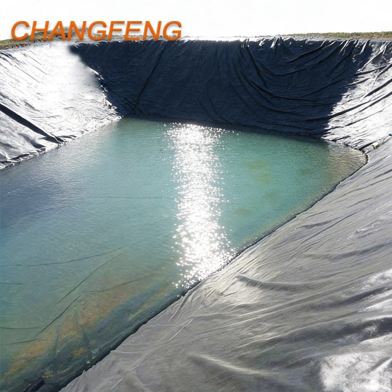 Waterproof HDPE Geomembrane Liner 1mm Modern Anti-UV for Fish Farm Artificial Pond Landscape Construction